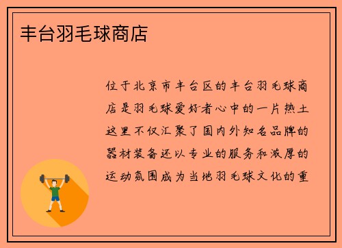 丰台羽毛球商店