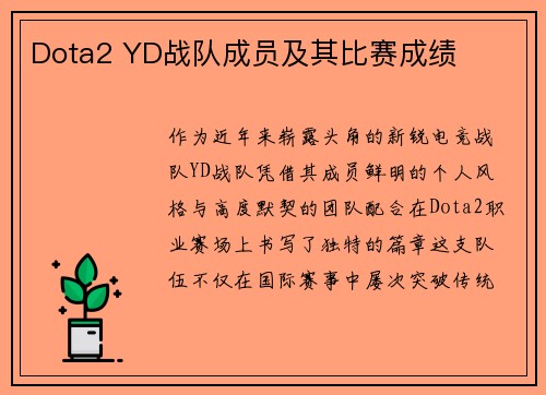 Dota2 YD战队成员及其比赛成绩